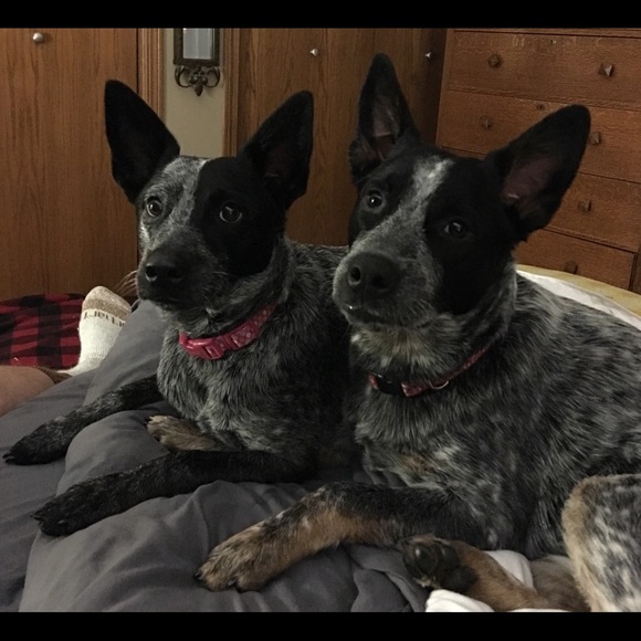 Meet your Posher, Melissa - Picture 1 of 2